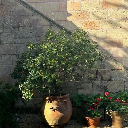 Casa Ventuno בית נופש טריקאסה